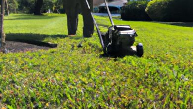 Lawn Service Spring Hill Fl