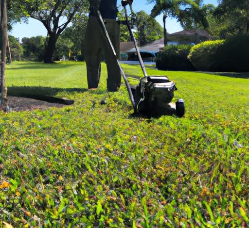 Lawn Service Spring Hill Fl